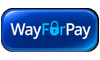payment system